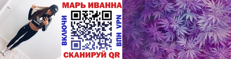 Конопля ГИДРОПОН  Купить где  Стародуб 